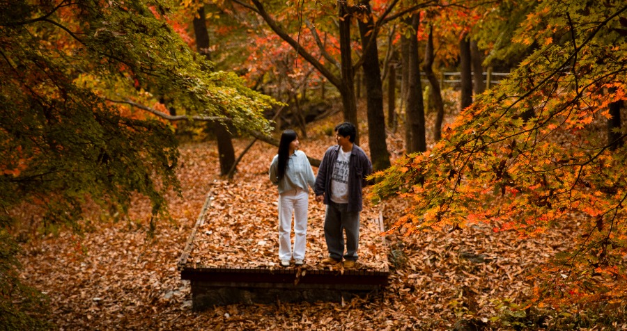 276_이승현_두 사람의 가을 속 이야기(국립나주숲체원).jpg