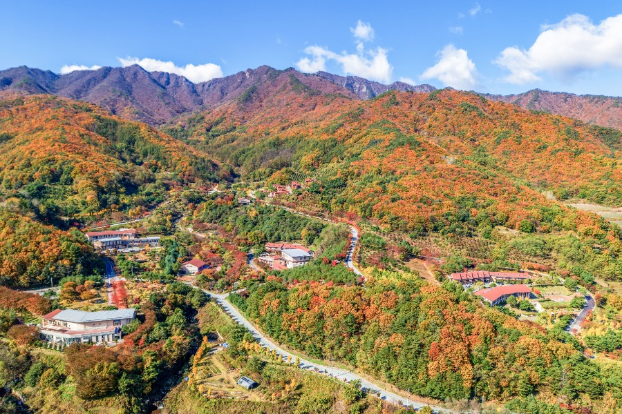 58_김범용_산림치유원의 가을전경(국립산림치유원).jpg