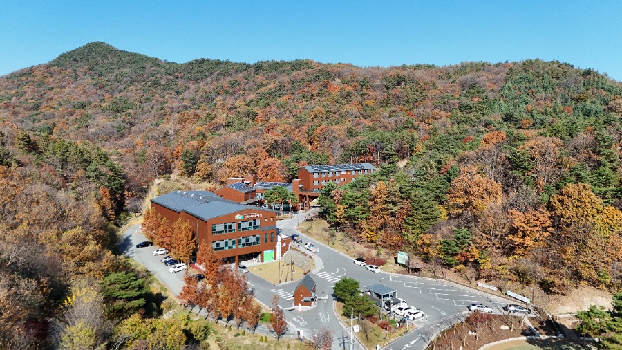 271_이수미_푸른 하늘 붉은 잎, 국립대전숲체원(국립대전숲체원).jpg