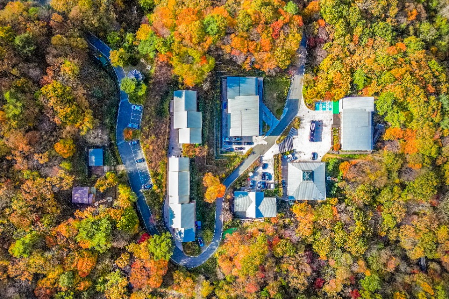 137_김승진_숲 속의 힐링공간(국립청도숲체원).jpg